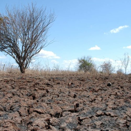 Governo Federal reconhece situação de emergência em Cajazeiras e outras duas cidades da Paraíba