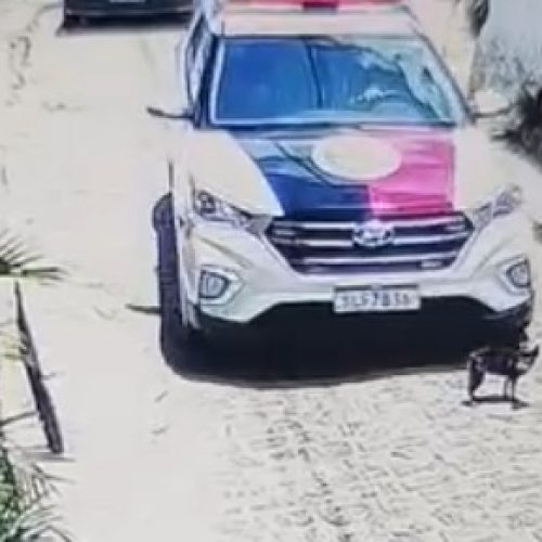 Viatura da PM atropela e mata cadela em João Pessoa; policial não prestou socorro