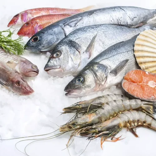 Pescado salgado: preço do quilo varia até 140% em mercados de João Pessoa, aponta Procon