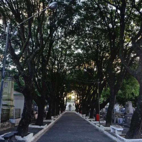 João Pessoa pode permitir sepultamento de animais de estimação em jazigos da família