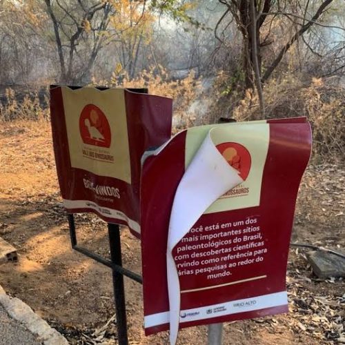 Vale dos Dinossauros, em Sousa, tem atividades suspensas após incêndio na vegetação