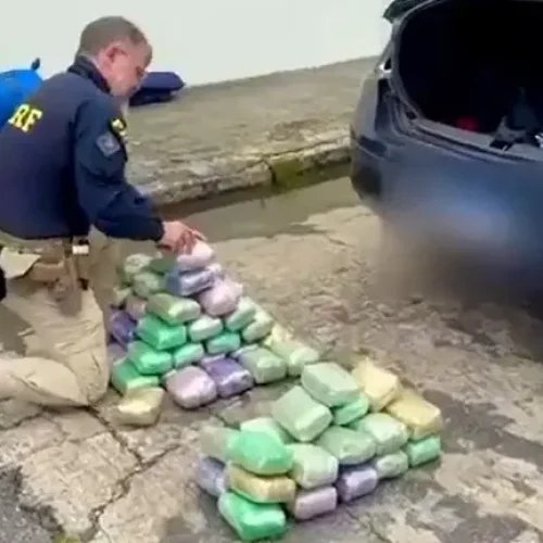R$ 5 milhões: PRF apreende 76 kg de haxixe escondido em painel e lanternas de carro na Paraíba