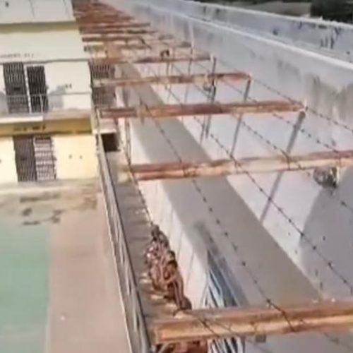 Foto: Reprodução redes sociais