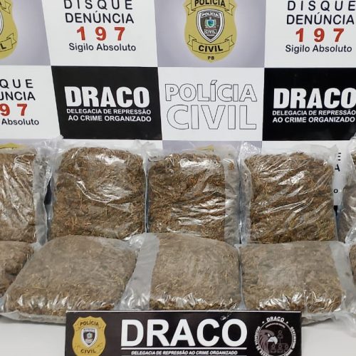 Operação carnaval: Polícia apreende, em 72 horas, quase 100 quilos de drogas, na Paraíba