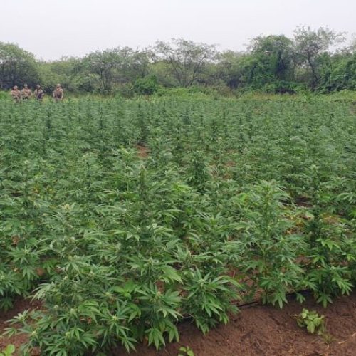 Foto: reprodução/Polícia Federal

