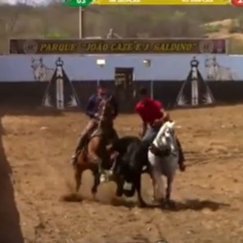 Cavalo morre após cair em vaquejada em Cajazeirinhas, no Sertão da Paraíba