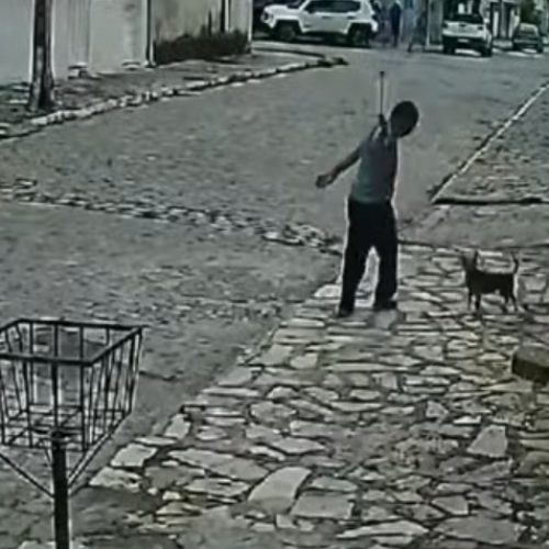 Homem é preso após ser flagrado agredindo dois cachorros em João Pessoa