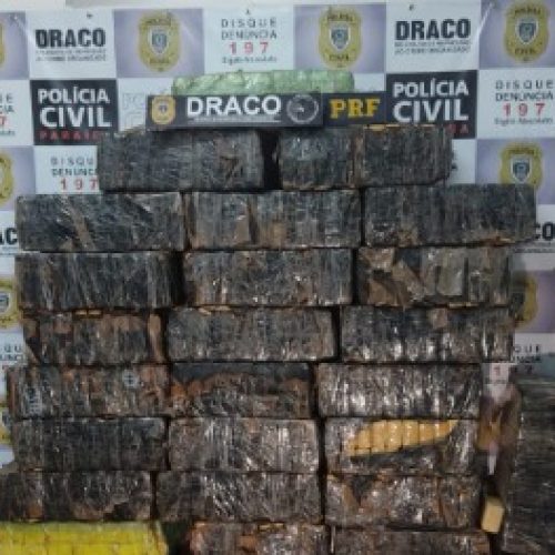 Foto: Divulgação/Draco

