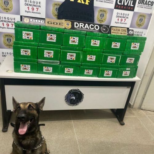 Polícia apreende carga de droga avaliada em mais de R$ 6,5 milhões que abasteceria o carnaval da Paraíba