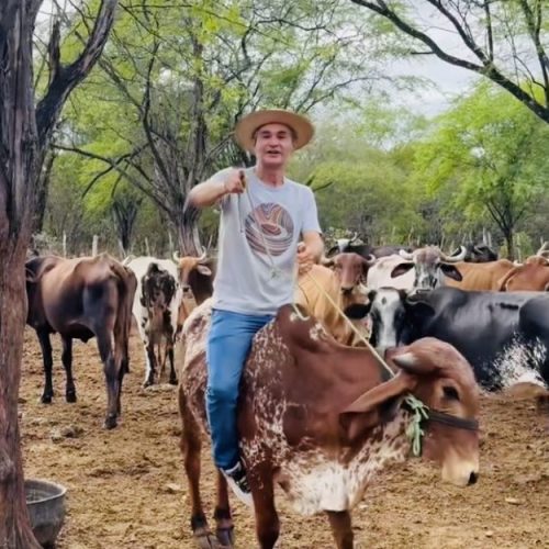 Romero fala em disputar o governo, monta no touro… mas histórico mostra que coragem política costuma ficar no pasto