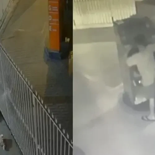 Homem é preso por invadir e furtar posto de combustível em Cajazeiras
