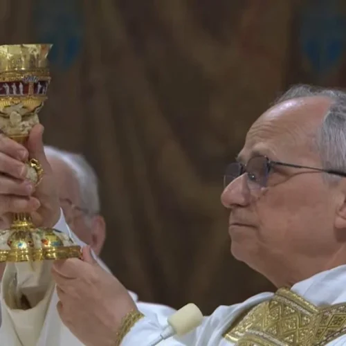 Papa Leão XIV diz que casamento heterossexual é um “fundamento” da família